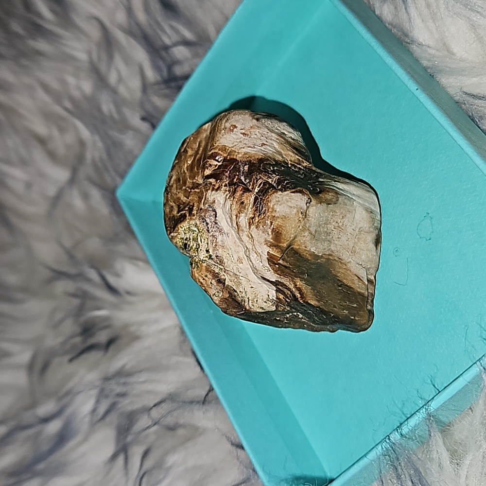 Petrified wood. Agatized.